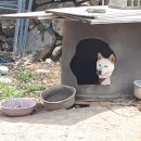 합천이모 이미지