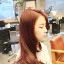이민미용실 네이버블로그