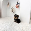 개냥이네 노원본점 | 행복한 하루를 만들어준 작은 가족의 시작