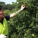 당동2리 이미지