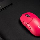 주식회사 엑스레이트 이미지