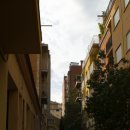 대조-002 이미지