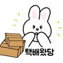 갤러리아타임월드라코스테Bag