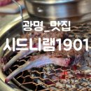 시드니램1901