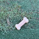 솔메이트 이미지