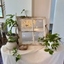 까페오월 | 신동 브런치카페 오월의꽃수저 신동카페거리점 후기