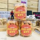 바오아토