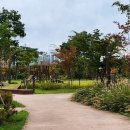 장자호수공원 이미지