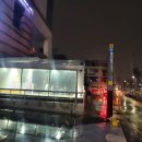 동화마을잔치날 | 3.19 제주도 결혼식 당일치기 플러스 면세점 둘러보기