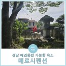 토리아이독채패밀리룸 | 부산 근교 울산 애견(반려견)동반 수영장 있는 독채숙소 &#39;메르시펜션&#39; 패밀리1동(분리형) 후기