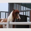 두리목장 이미지