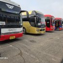 일지매 여행사 이미지