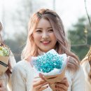 고양체육관 Daum카페