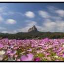 진안읍 1403 이미지