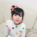 빈이나무