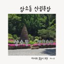 대전 상소동 산림욕장 물놀이 후기｜아이와 여름 나들이 추천, 주차부터 준비물까지