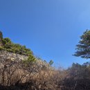 양동산성 Daum카페