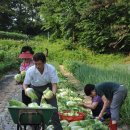 돼지갈비와 영광굴비가 올라온 12,000원짜리 황토방한정식 4인분 이미지