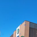 강성은꽃 이미지