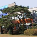 학하초등학교(병설) 이미지