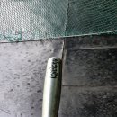 미인고로케 이미지