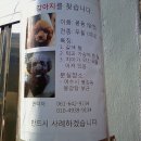 봉강탕 이미지