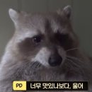 효심마켓 네이버블로그