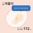 카페호야 - 아산시 온양역길 120 | 카페호야