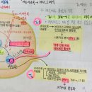 써머리 4권 27장 면역계 p4, p12 NK세포와 T세포의 인터페론 감마 분비 관련 이미지