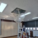 신지면-4 이미지