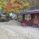 유치자연휴양림 관리사무소 네이버블로그