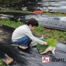 흙지킴이 농원