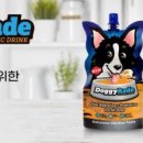 도그도기 이미지