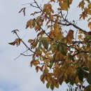 동대문하루상회 이미지