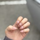 하이네일스