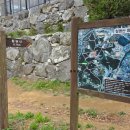 청명역 | 용인 등산 청명산 입구 주차 출렁다리 수원 청명역 근처 후기