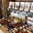 도토리(dotori) 이미지