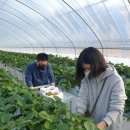 자립농장 이미지