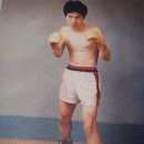 참피온 복싱클럽 이미지