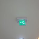 분당-142 이미지