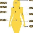 네일몬스터 이미지