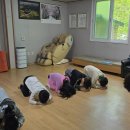 간문초교 이미지