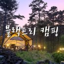 트리캠핑장 | 영흥도 글램핑장 감성 가득한 블랙트리 캠핑장 힐링 후기