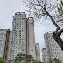 반포조은공인중개사사무소 이미지