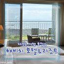 더감미로운 | 제주도 여행 호캉스 해비치호텔 디럭스 시사이드뷰, 조식, 수영장, 부대시설 후기