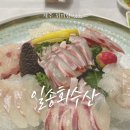 제주 위미항 맛집 | 일송회수산에서 모둠회 2인 코스 즐기기!