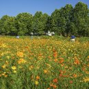 황화농장 이미지