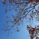 압구정동 주민센터 이미지