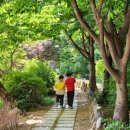 도제원초등학교 이미지