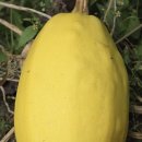 정보농장 이미지